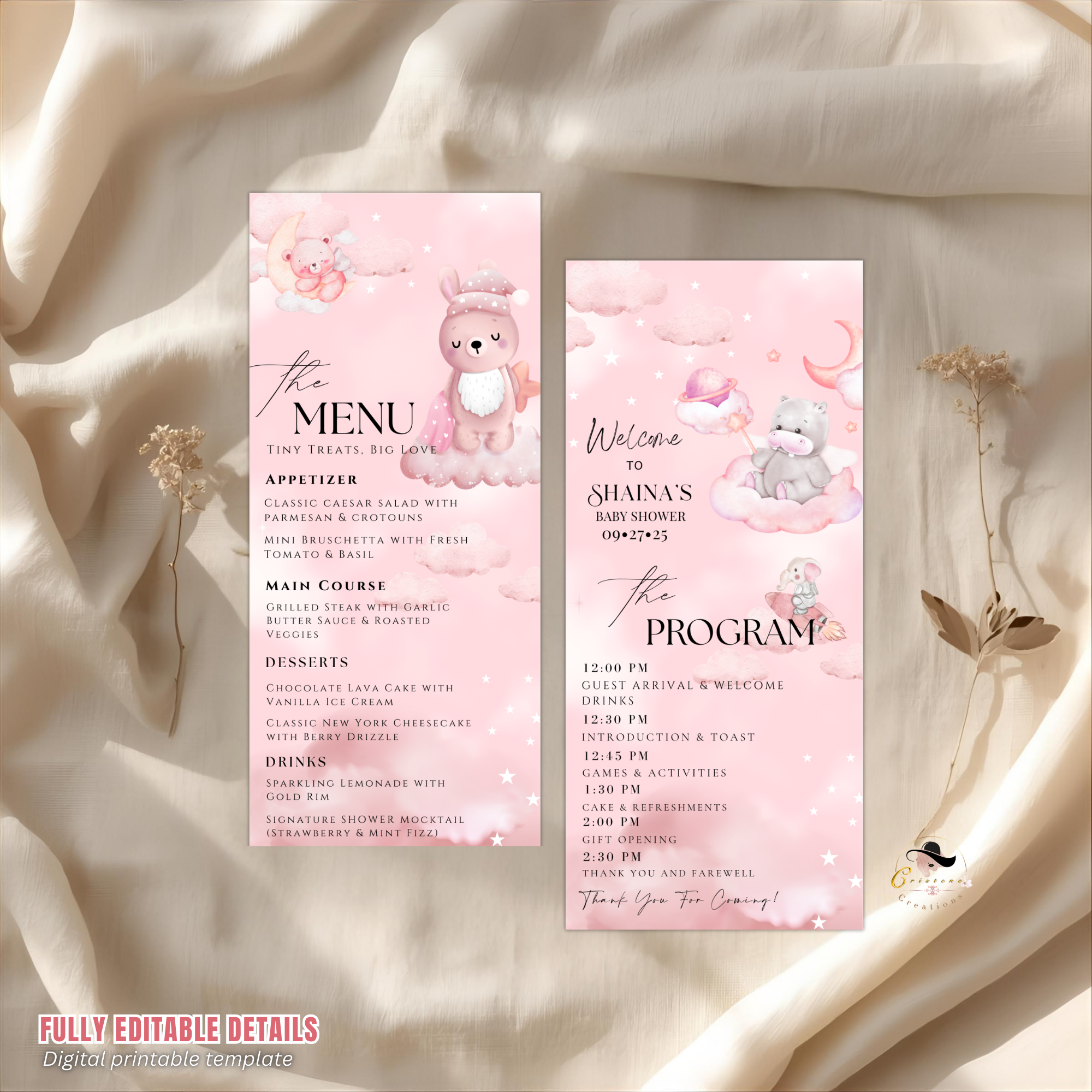 Baby Shower Menu and Program Template, Pink Cloud 9 Baby Shower, Baby Girl Theme, Timeline Schedule, Menu Card Editable Canva Printable