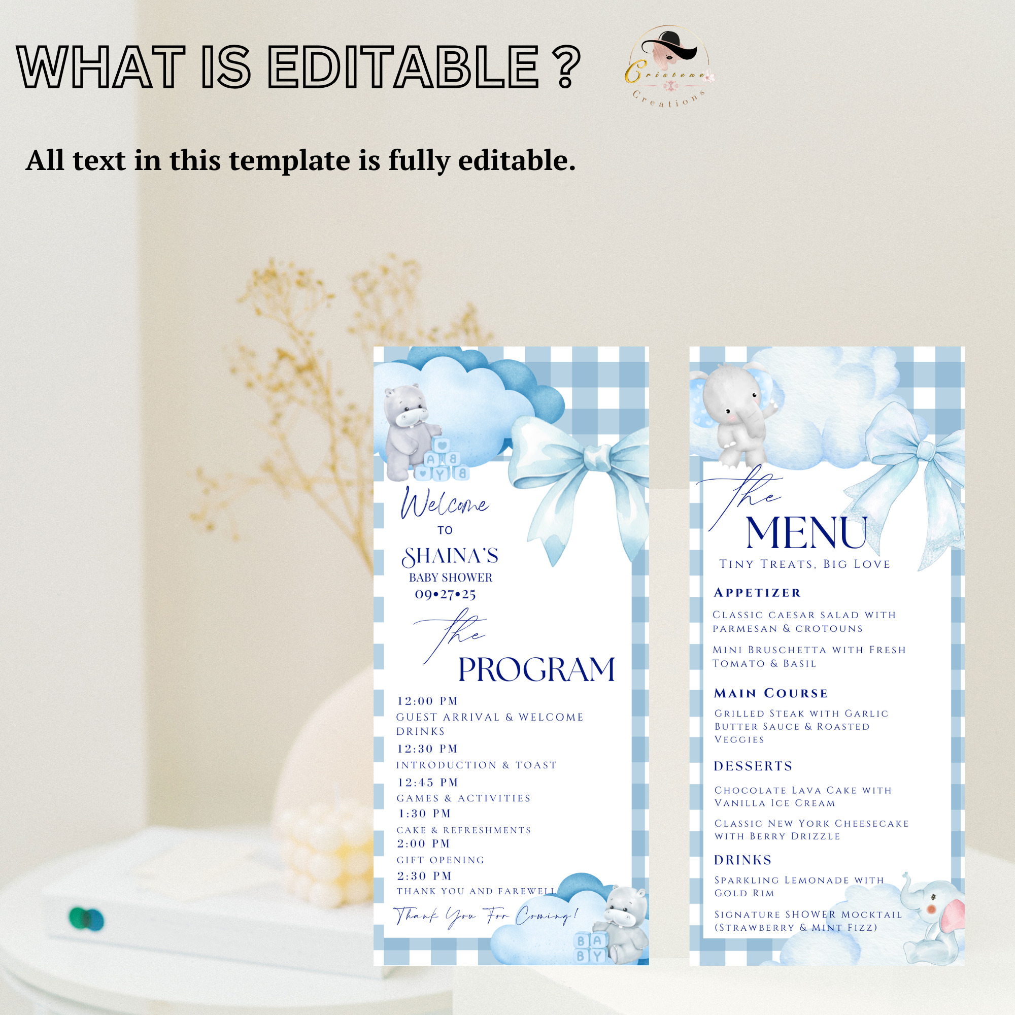 Blue Baby Shower Menu and Program Template, Baby Boy Shower Itinerary Card, Cloud 9 Bear Safari Party theme Editable Canva Digital Printable